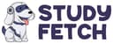 StudyFetch logo